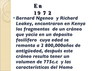 En 1972 Bernard Ngeneo  y Richard Leakey, encontraron en Kenya los fragmentos  de un cráneo  que yacía en un deposito fosilífero  cuya edad se remonta a 2 800,000años de antigüedad, después este cráneo resulto tener un volumen de 775c.c  y las características del Homo erectus.  