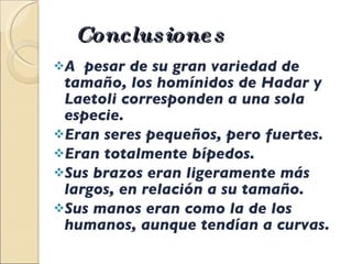 Conclusiones  A  pesar de su gran variedad de tamaño, los homínidos de Hadar y Laetoli corresponden a una sola especie. Eran seres pequeños, pero fuertes. Eran totalmente bípedos. Sus brazos eran ligeramente más largos, en relación a su tamaño. Sus manos eran como la de los humanos, aunque tendían a curvas. 
