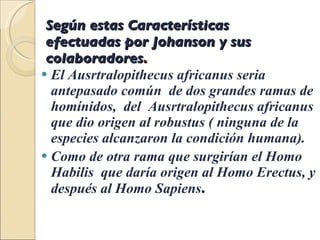 Según estas Características  efectuadas por Johanson y sus colaboradores .  El Ausrtralopithecus africanus seria antepasado común  de dos grandes ramas de homínidos,  del  Ausrtralopithecus africanus que dio origen al robustus ( ninguna de la especies alcanzaron la condición humana). Como de otra rama que surgirían el Homo Habilis  que daría origen al Homo Erectus, y después al Homo Sapiens . 
