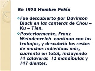 En 1972 Hombre Pekín  Fue descubierto por Davinson  Black en las canteras de Chou – Ku – Tien. Posteriormente, Franz Weindenreich  continuo con los trabajos, y descubrió los restos de muchos individuos más, cuarenta en total, incluyendo 14 calaveras  12 mandíbulas y 147 dientes. 