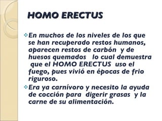 HOMO ERECTUS En muchos de los niveles de los que se han recuperado restos humanos, aparecen restos de carbón  y de huesos quemados  lo cual demuestra  que el HOMO ERECTUS  uso el fuego, pues vivió en épocas de frio riguroso. Era ya carnívoro y necesito la ayuda de cocción para  digerir grasas  y la carne de su alimentación. 