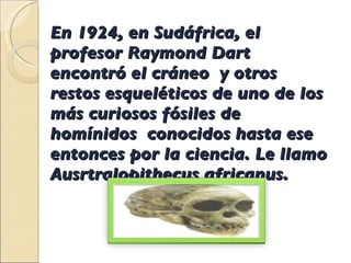 En 1924, en Sudáfrica, el profesor Raymond Dart  encontró el cráneo  y otros restos esqueléticos de uno de los más curiosos fósiles de homínidos  conocidos hasta ese entonces por la ciencia. Le llamo Ausrtralopithecus africanus. 