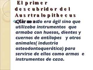 El primer descubridor del Ausrtralopithecus  afirma: Que no solo era ágil sino que utilizaba instrumentos  que armaba con huesos, dientes y cuernos de antílopes  y otros animales( industria osteodontoquerática) para servirse de ellos como armas  e instrumentos de caza . 