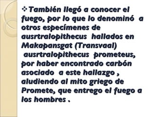También llegó a conocer el fuego, por lo que lo denominó  a otros especímenes de ausrtralopithecus  hallados en Makapansgat (Transvaal)  ausrtralopithecus  prometeus, por haber encontrado carbón asociado  a este hallazgo , aludiendo al mito griego de Promete, que entrego el fuego a los hombres . 