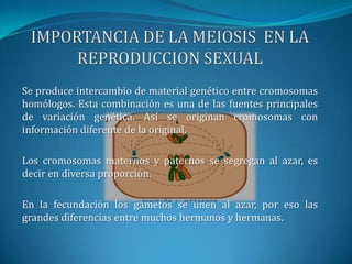 IMPORTANCIA DE LA MEIOSIS  EN LA REPRODUCCION SEXUALSe produce intercambio de material genético entre cromosomas homólogos. Esta combinación es una de las fuentes principales de variación genética. Así se originan cromosomas con información diferente de la original.Los cromosomas maternos y paternos se segregan al azar, es decir en diversa proporción.En la fecundación los gametos se unen al azar, por eso las grandes diferencias entre muchos hermanos y hermanas.