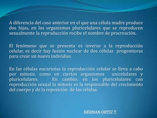 A diferencia del caso anterior en el que una célula madre produce dos hijas, en los organismos pluricelulares que se reproducen sexualmente la reproducción recibe el nombre de procreación.El fenómeno que se presenta es inverso a la reproducción celular, es decir hay fusión nuclear de dos células  progenitoras para crear un nuevo individuo.En las células eucariotas la reproducción celular se lleva a cabo por mitosis, como en ciertos organismos  unicelulares y pluricelulares.   En cambio, en los pluricelulares con reproducción sexual la mitosis es la responsable del crecimiento del cuerpo y de la reposición  de las células.HERNAN ORTIZ T.