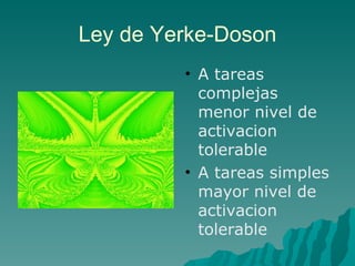 Ley de Yerke-Doson A tareas complejas menor nivel de activacion tolerable A tareas simples mayor nivel de activacion tolerable 