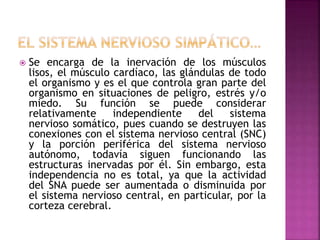  Se encarga de la inervación de los músculos
lisos, el músculo cardíaco, las glándulas de todo
el organismo y es el que controla gran parte del
organismo en situaciones de peligro, estrés y/o
miedo. Su función se puede considerar
relativamente independiente del sistema
nervioso somático, pues cuando se destruyen las
conexiones con el sistema nervioso central (SNC)
y la porción periférica del sistema nervioso
autónomo, todavía siguen funcionando las
estructuras inervadas por él. Sin embargo, esta
independencia no es total, ya que la actividad
del SNA puede ser aumentada o disminuida por
el sistema nervioso central, en particular, por la
corteza cerebral.
 