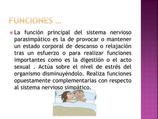  La función principal del sistema nervioso
parasimpático es la de provocar o mantener
un estado corporal de descanso o relajación
tras un esfuerzo o para realizar funciones
importantes como es la digestión o el acto
sexual . Actúa sobre el nivel de estrés del
organismo disminuyéndolo. Realiza funciones
opuestamente complementarias con respecto
al sistema nervioso simpático.
 