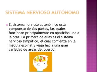  El sistema nervioso autonómico está
compuesto de dos partes, las cuales
funcionan principalmente en oposición una a
la otra. La primera de ellas es el sistema
nervioso simpático, el cual comienza en la
médula espinal y viaja hacia una gran
variedad de áreas del cuerpo.
 