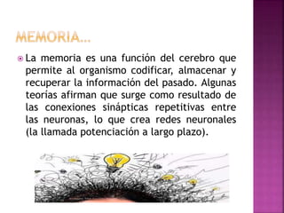 La memoria es una función del cerebro que
permite al organismo codificar, almacenar y
recuperar la información del pasado. Algunas
teorías afirman que surge como resultado de
las conexiones sinápticas repetitivas entre
las neuronas, lo que crea redes neuronales
(la llamada potenciación a largo plazo).
 