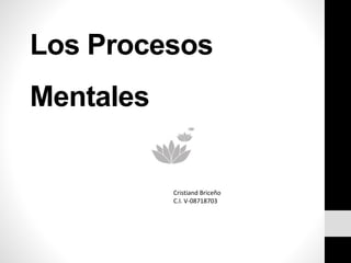 Los Procesos
Mentales
Cristiand Briceño
C.I. V-08718703
 