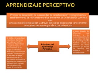 Proceso de adquisición de la capacidad de caracterización reconocimiento y
establecimiento de relaciones entre los elementos de una situación concreta
que
actúa como referente global, y a través del cual se elaboran los conocimientos
sensoriales necesarios para la actividad racional
Principios del
Aprendizaje
Perceptivo
el sujeto descubre las
diferencias que
distinguen a los
conjuntos de estímulos
presentados. Este tipo
de aprendizaje resulta
facilitado cuando se
destacan los rasgos
distintivos que han de
ser utilizados para
establecer las
discriminaciones.
Se facilita este aprendizaje
presentando al principio
que supongan fuertes
contrastes. El aprendizaje
perceptivo implica un
reconocimiento de los
rasgos característicos
(factores que provienen del
estímulo). Mientras mayor
es el número de rasgos
distintivos, más fácil es
descubrir las características
distintivas que establecen la
diferencia entre lo que se
discrimina dentro del
bagaje de información
 