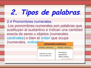 2. Tipos de palabras.
2.4 Pronombres numerales.
Los pronombres numerales son palabras que
sustituyen al sustantivo e indican una cantidad
exacta de seres u objetos (numerales
cardinales) o bien el orden que ocupa
(numerales, ordinales) .

 