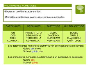 PRONOMBRES NUMERALES
•Expresan cantidad exacta u orden.
•Coinciden exactamente con los determinantes numerales.
CARDINALES ORDINALES PARTITIVOS MULTIPLICATIVOS
UN
DOS
TRES
CUATRO…
PRIMER, -O, -A
SEGUNDO, -A
TERCERO, -A
CUARTO,-A…
MEDIO
ONCEAVA
QUINCEAVA
VEINTEAVA
DOBLE
TRIPLE
CUÁDRUPLE
QUÍNTUPLE
• Los determinantes numerales SIEMPRE van acompañando a un nombre:
Quiero dos cafés.
Sube al quinto piso
• Los pronombres numerales no determinan a un sustantivo, lo sustituyen:
Quiero dos
Sube al quinto
 