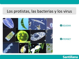 Los protistas, las bacterias y los virus


                                 ESQUEMA




                                 INTERNET
 