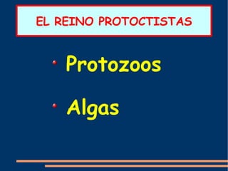 EL REINO PROTOCTISTAS
Protozoos
Algas
 