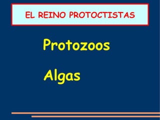 EL REINO PROTOCTISTAS ,[object Object]