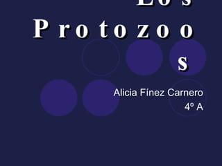 Los Protozoos   Alicia Fínez Carnero 4º A 