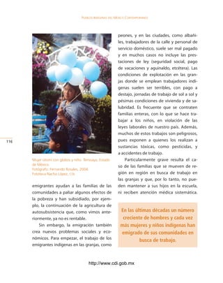 Pueblos indígenas del México conteMPoráneo




                                                          peones, y en las ciudades, como albañi-
                                                          les, trabajadores de la calle y personal de
                                                          servicio doméstico, suele ser mal pagado
                                                          y en muchos casos no incluye las pres-
                                                          taciones de ley (seguridad social, pago
                                                          de vacaciones y aguinaldo, etcétera). Las
                                                          condiciones de explotación en las gran-
                                                          jas donde se emplean trabajadores indí-
                                                          genas suelen ser terribles, con pago a
                                                          destajo, jornadas de trabajo de sol a sol y
                                                          pésimas condiciones de vivienda y de sa-
                                                          lubridad. Es frecuente que se contraten
                                                          familias enteras, con lo que se hace tra-
                                                          bajar a los niños, en violación de las
                                                          leyes laborales de nuestro país. Además,
                                                          muchos de estos trabajos son peligrosos,
116                                                       pues exponen a quienes los realizan a
                                                          sustancias tóxicas, como pesticidas, y
                                                          a accidentes de trabajo.
      Mujer otomí con globos y niño. Temoaya, Estado          Particularmente grave resulta el ca-
      de México.                                          so de las familias que se mueven de re-
      Fotógrafo: Fernando Rosales, 2004.
      Fototeca Nacho López, cdi.                          gión en región en busca de trabajo en
                                                          las granjas y que, por lo tanto, no pue-
      emigrantes ayudan a las familias de las             den mantener a sus hijos en la escuela,
      comunidades a paliar algunos efectos de             ni reciben atención médica sistemática.
      la pobreza y han subsidiado, por ejem-
      plo, la continuación de la agricultura de
      autosubsistencia que, como vimos ante-               En las últimas décadas un número
      riormente, ya no es rentable.                         creciente de hombres y cada vez
          Sin embargo, la emigración también               más mujeres y niños indígenas han
      crea nuevos problemas sociales y eco-                emigrado de sus comunidades en
      nómicos. Para empezar, el trabajo de los
                                                                    busca de trabajo.
      emigrantes indígenas en las granjas, como



                                       http://www.cdi.gob.mx
 