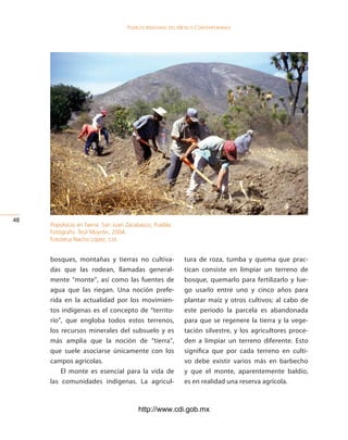 Pueblos indígenas del México conteMPoráneo




4
     Popolocas en faena. San Juan Zacabasco, Puebla.
     Fotógrafo: Teúl Moyrón, 2004.
     Fototeca Nacho López, cdi.


     bosques, montañas y tierras no cultiva-             tura de roza, tumba y quema que prac-
     das que las rodean, llamadas general-               tican consiste en limpiar un terreno de
     mente “monte”, así como las fuentes de              bosque, quemarlo para fertilizarlo y lue-
     agua que las riegan. Una noción prefe-              go usarlo entre uno y cinco años para
     rida en la actualidad por los movimien-             plantar maíz y otros cultivos; al cabo de
     tos indígenas es el concepto de “territo-           este periodo la parcela es abandonada
     rio”, que engloba todos estos terrenos,             para que se regenere la tierra y la vege-
     los recursos minerales del subsuelo y es            tación silvestre, y los agricultores proce-
     más amplia que la noción de “tierra”,               den a limpiar un terreno diferente. Esto
     que suele asociarse únicamente con los              significa que por cada terreno en culti-
     campos agrícolas.                                   vo debe existir varios más en barbecho
         El monte es esencial para la vida de            y que el monte, aparentemente baldío,
     las comunidades indígenas. La agricul-              es en realidad una reserva agrícola.



                                      http://www.cdi.gob.mx
 