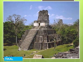 TIKAL
 
