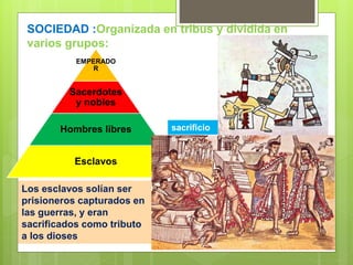 SOCIEDAD :Organizada en tribus y dividida en
varios grupos:
EMPERADO
R
Sacerdotes
y nobles
Hombres libres
Esclavos
Los esclavos solían ser
prisioneros capturados en
las guerras, y eran
sacrificados como tributo
a los dioses
sacrificio
s
 