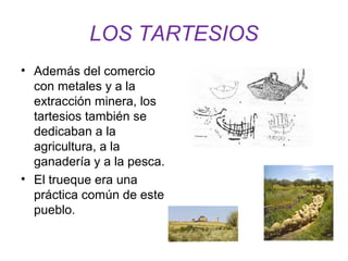 LOS TARTESIOS 
• Además del comercio 
con metales y a la 
extracción minera, los 
tartesios también se 
dedicaban a la 
agricultura, a la 
ganadería y a la pesca. 
• El trueque era una 
práctica común de este 
pueblo. 
 