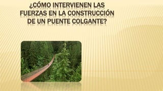 ¿CÓMO INTERVIENEN LAS
FUERZAS EN LA CONSTRUCCIÓN
DE UN PUENTE COLGANTE?
 