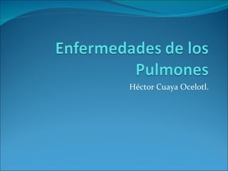 Héctor Cuaya Ocelotl. 