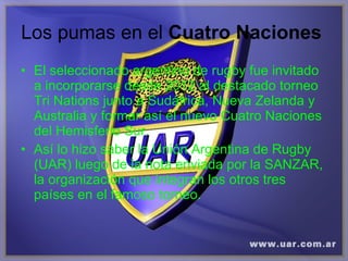 Los pumas