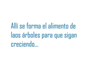 Allí se forma el alimento de
laos árboles para que sigan
creciendo…
 