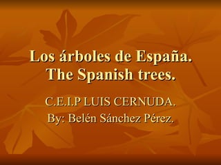 Los árboles de España. The Spanish trees. C.E.I.P LUIS CERNUDA. By: Belén Sánchez Pérez. 