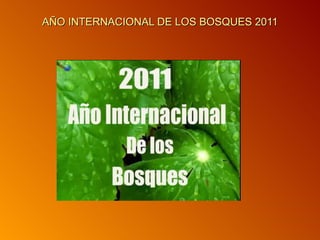 AÑO INTERNACIONAL DE LOS BOSQUES 2011 