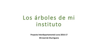 Los árboles de mi
instituto
Proyecto Interdepartamental curso 2016-17
IES José de Churriguera
 