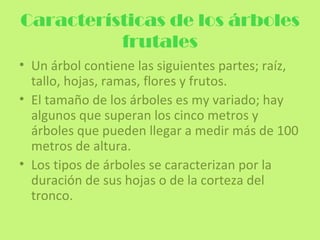 Características de los árboles
          frutales
• Un árbol contiene las siguientes partes; raíz,
  tallo, hojas, ramas, flores y frutos.
• El tamaño de los árboles es my variado; hay
  algunos que superan los cinco metros y
  árboles que pueden llegar a medir más de 100
  metros de altura.
• Los tipos de árboles se caracterizan por la
  duración de sus hojas o de la corteza del
  tronco.
 