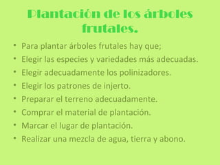 Plantación de los árboles
             frutales.
•   Para plantar árboles frutales hay que;
•   Elegir las especies y variedades más adecuadas.
•   Elegir adecuadamente los polinizadores.
•   Elegir los patrones de injerto.
•   Preparar el terreno adecuadamente.
•   Comprar el material de plantación.
•   Marcar el lugar de plantación.
•   Realizar una mezcla de agua, tierra y abono.
 