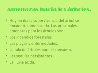 Amenazas hacia los árboles.
• Hoy en día la supervivencia del árbol se
  encuentra amenazada. Las principales
  amenazas para los árboles son;
• Los incendios forestales.
• Las plagas y enfermedades.
• La tala de árboles para el consumo.
• Las sequías persistentes.
• La lluvia ácida.
 