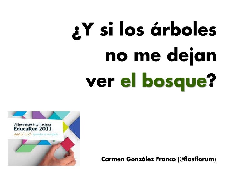 Los árboles que no me dejan ver el bosque