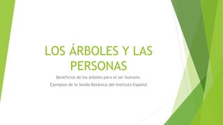 LOS ÁRBOLES Y LAS
PERSONAS
Beneficios de los árboles para el ser humano.
Ejemplos de la Senda Botánica del Instituto Españ...