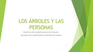 LOS ÁRBOLES Y LAS
PERSONAS
Beneficios de los árboles para el ser humano.
Ejemplos de la Senda Botánica del Instituto Español
 