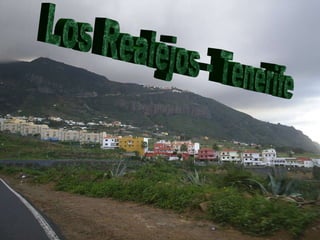 Los Realejos - Tenerife 