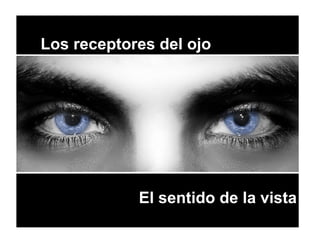 Los receptores del ojo
El sentido de la vista
 