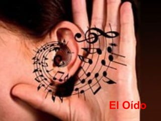 El Oído
 