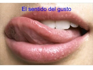 El sentido del gusto
 