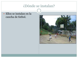 ¿Dónde se instalan?
 Ellos se instalan en la
cancha de futbol.
 