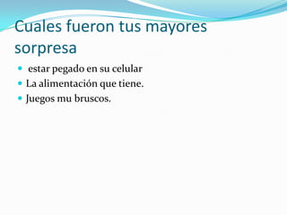 Cuales fueron tus mayores
sorpresa
 estar pegado en su celular
 La alimentación que tiene.
 Juegos mu bruscos.
 