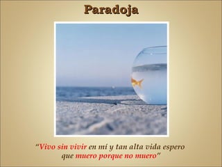 Paradoja




“Vivo sin vivir en mí y tan alta vida espero
       que muero porque no muero”
 
