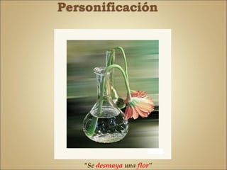 "Se desmaya una flor”
 