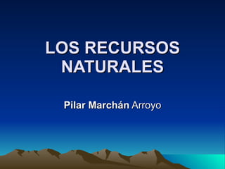 LOS RECURSOS NATURALES Pilar Marchán  Arroyo 